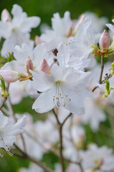 Similar image 21505501