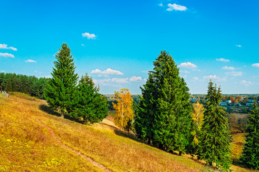 Similar image 21506290