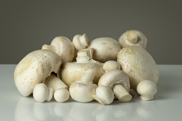 Similar image 21513155