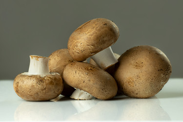 Similar image 21513156