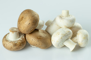 Similar image 21513157