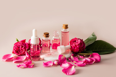 Similar image 21505600