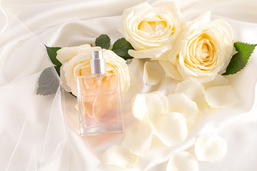 Similar image 21505610