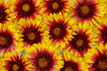 Similar image 21505932