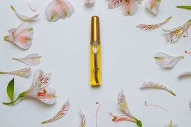 Similar image 21505934