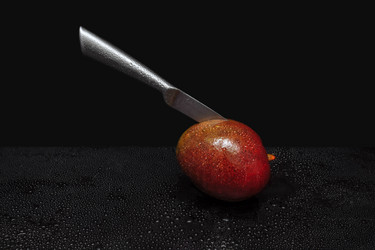 Similar image 21505937