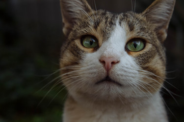 Similar image 21505939