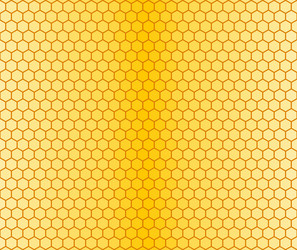 Similar image 21516757