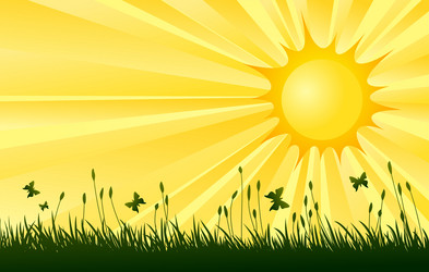 Similar image 21516764