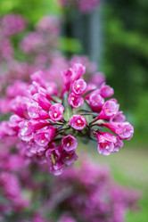 Similar image 21505622