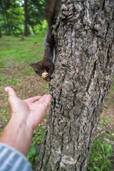 Similar image 21505942