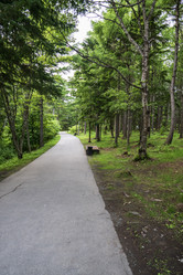 Similar image 21505943