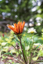 Similar image 21505945