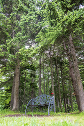 Similar image 21505946