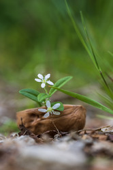 Similar image 21505626