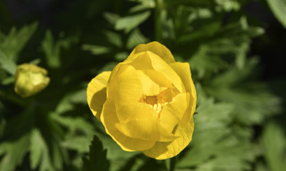 Similar image 21505628