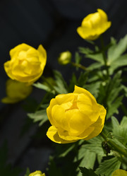 Similar image 21505630