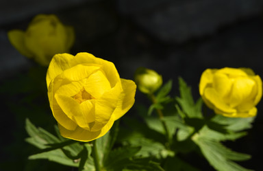 Similar image 21505631