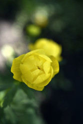 Similar image 21505635