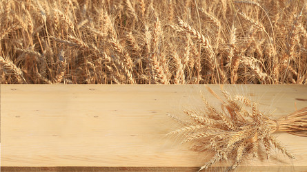 Similar image 21505724