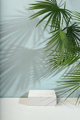 Similar image 21505725