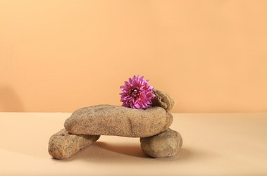 Similar image 21505738