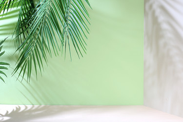 Similar image 21505739