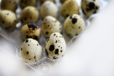 Similar image 21505745