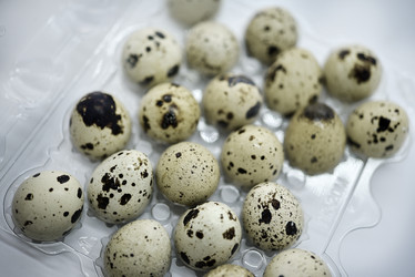 Similar image 21505746