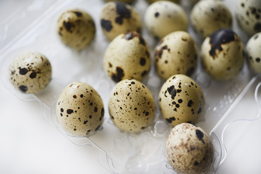 Similar image 21505747