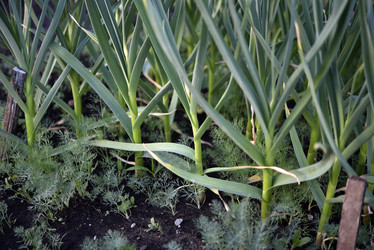 Similar image 21505753