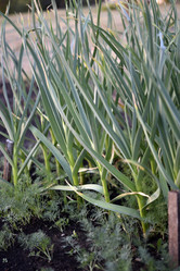 Similar image 21505755