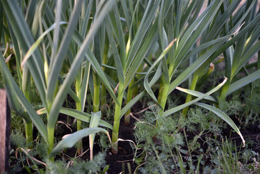 Similar image 21505756