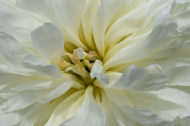 Similar image 21506251