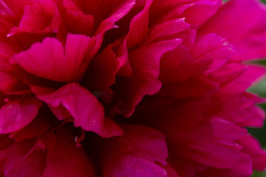 Similar image 21506252