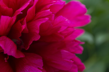 Similar image 21506253