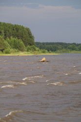 Similar image 21506234