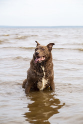 Similar image 21506236