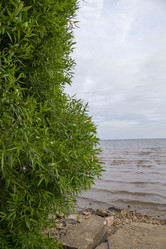 Similar image 21506237