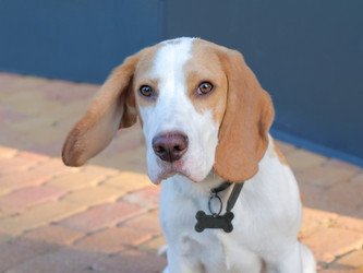 Similar image 21507759