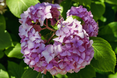 Similar image 21514990