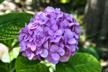 Similar image 21514991