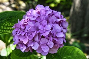 Similar image 21514992