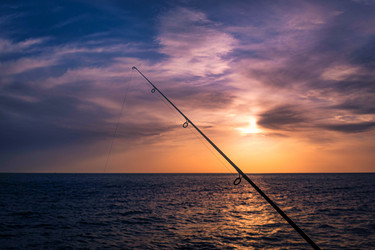 Similar image 21505963