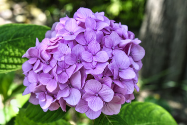 Similar image 21505964