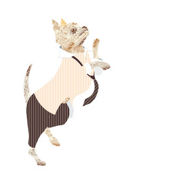 Similar image 21506392