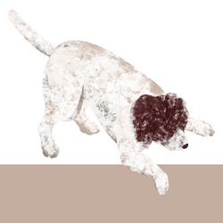 Similar image 21506393