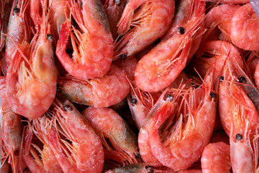 Similar image 21513967