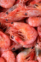 Similar image 21505872