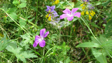 Similar image 21508694